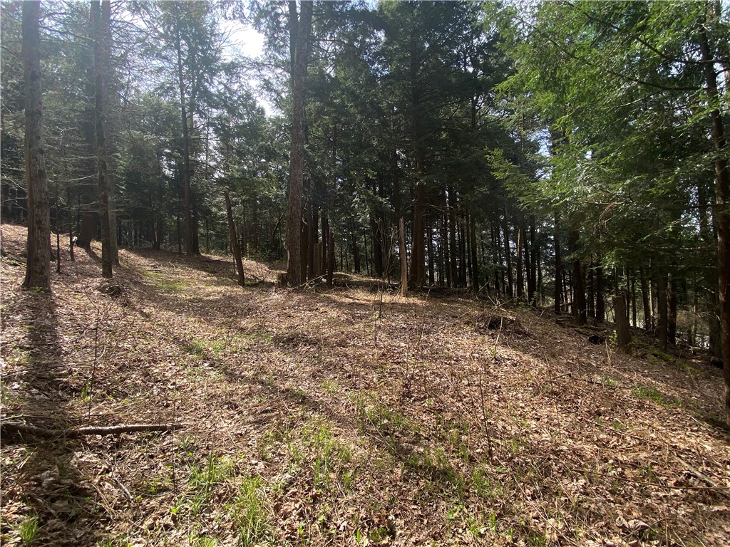 Lot A Piermott Lane, Hartwick, New York image 5