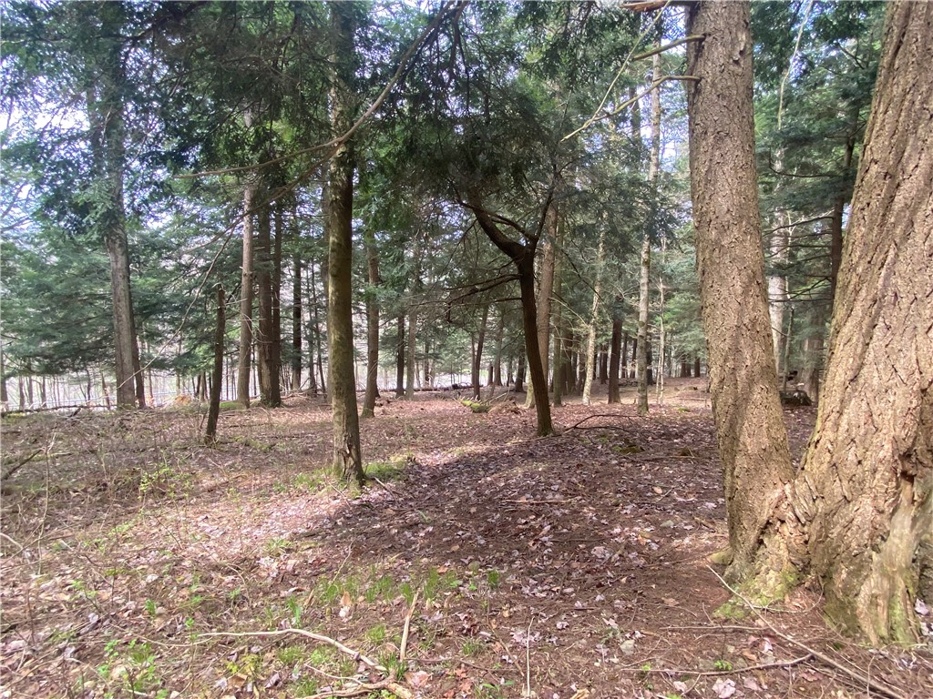 Lot A Piermott Lane, Hartwick, New York image 9