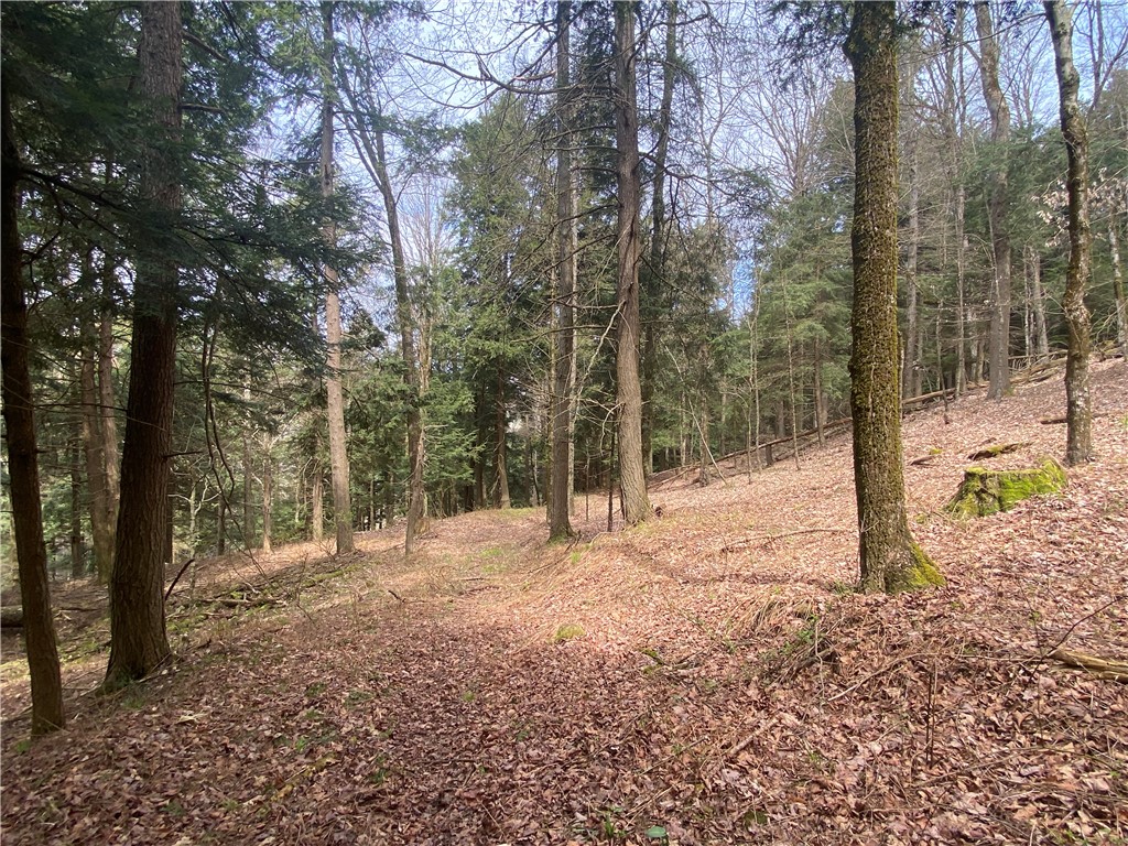 Lot A Piermott Lane, Hartwick, New York image 8