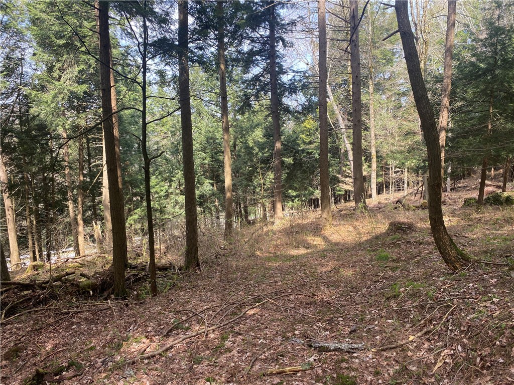 Lot A Piermott Lane, Hartwick, New York image 6