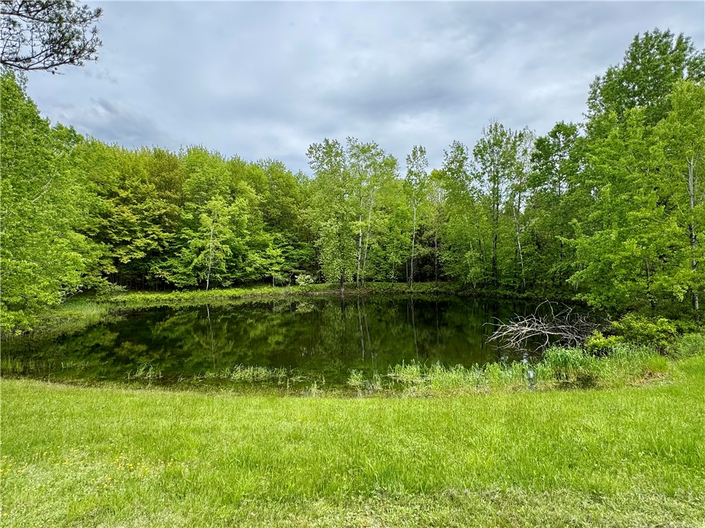 188 Collars Road, Milford, New York image 3