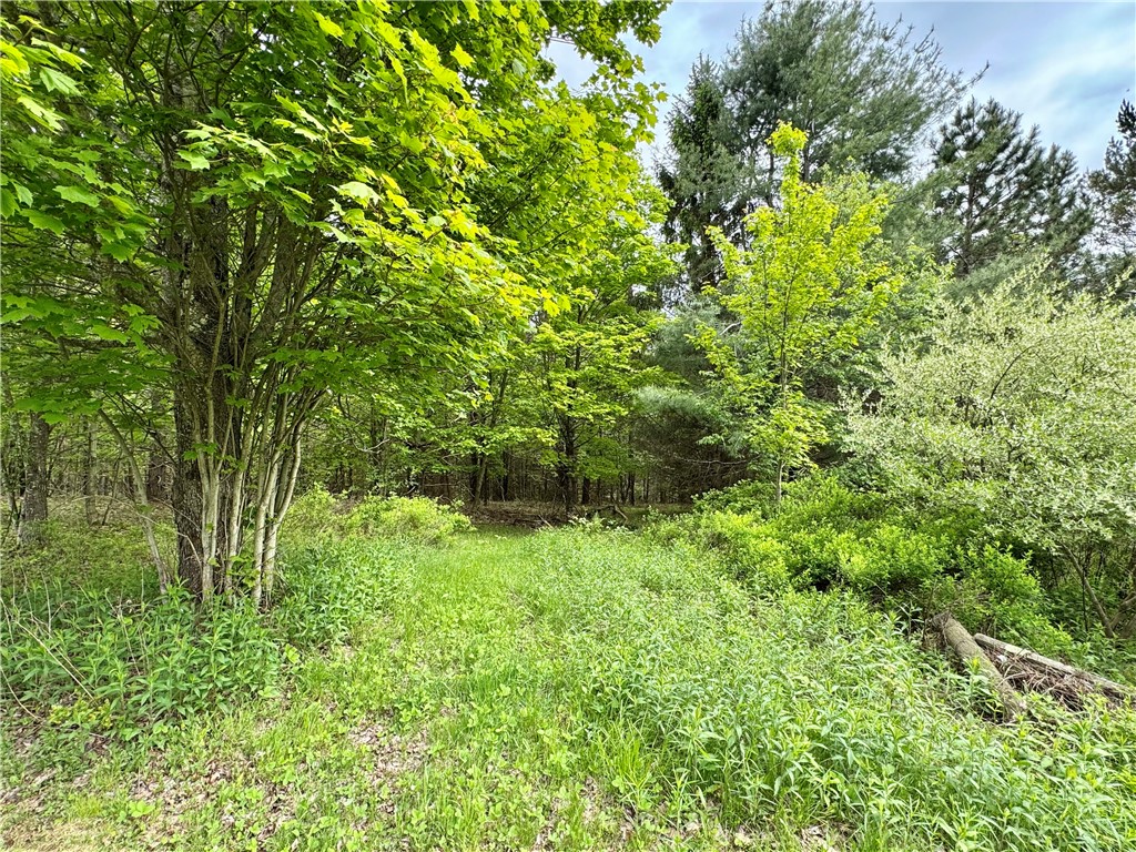 188 Collars Road, Milford, New York image 9