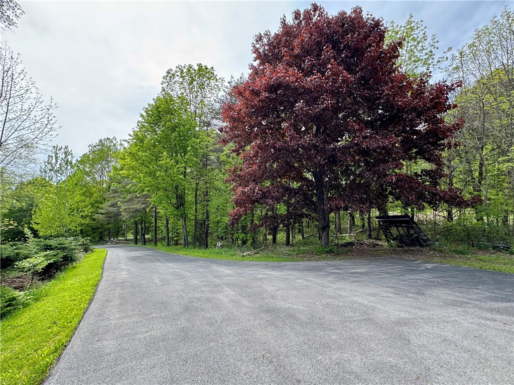 188 Collars Road, Milford, New York image 49