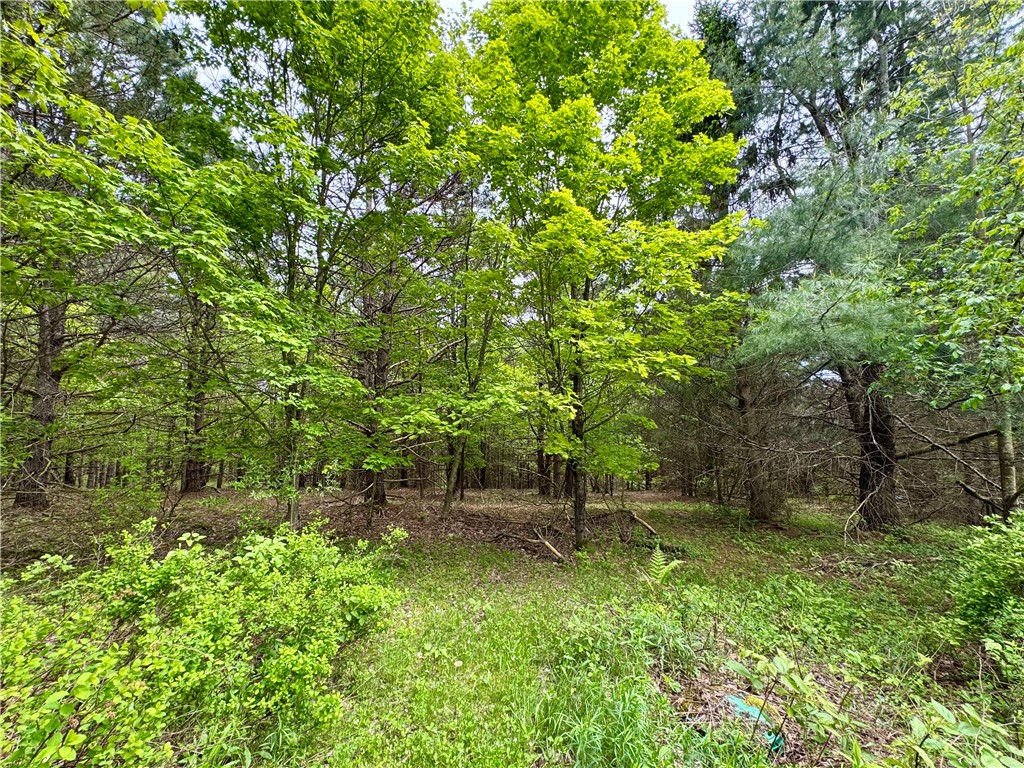 188 Collars Road, Milford, New York image 10