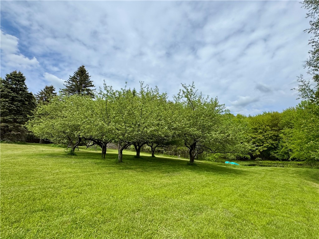 188 Collars Road, Milford, New York image 36