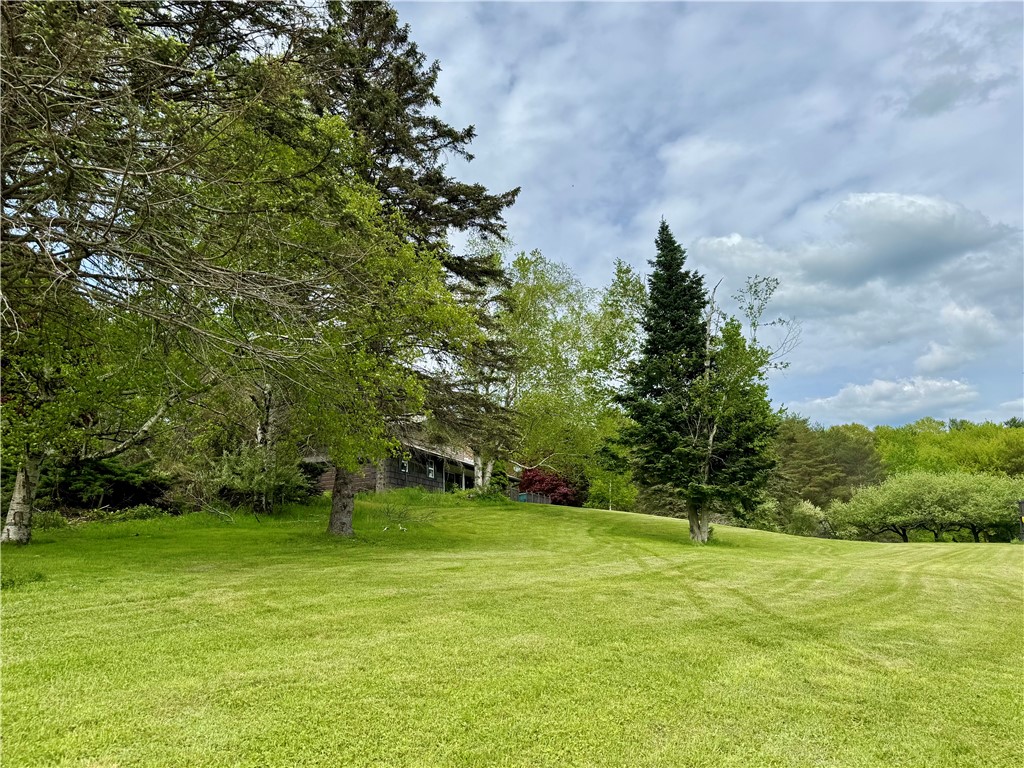 188 Collars Road, Milford, New York image 38