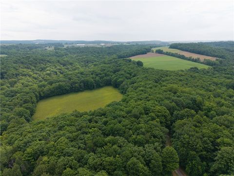 Vacant Land For Sale - 1337 Creek Road<br/> Attica, NY 14011
