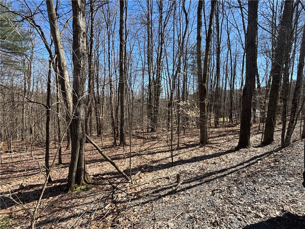 Todd Road, Hartwick, New York image 9