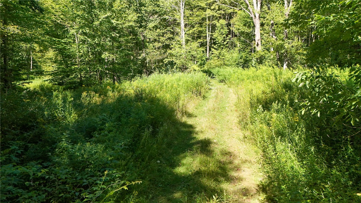 0 bullock hill road
