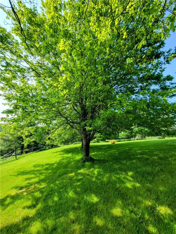 111 Harmouth Road, New Lisbon, New York image 8