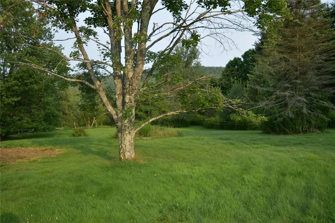 111 Harmouth Road, New Lisbon, New York image 29