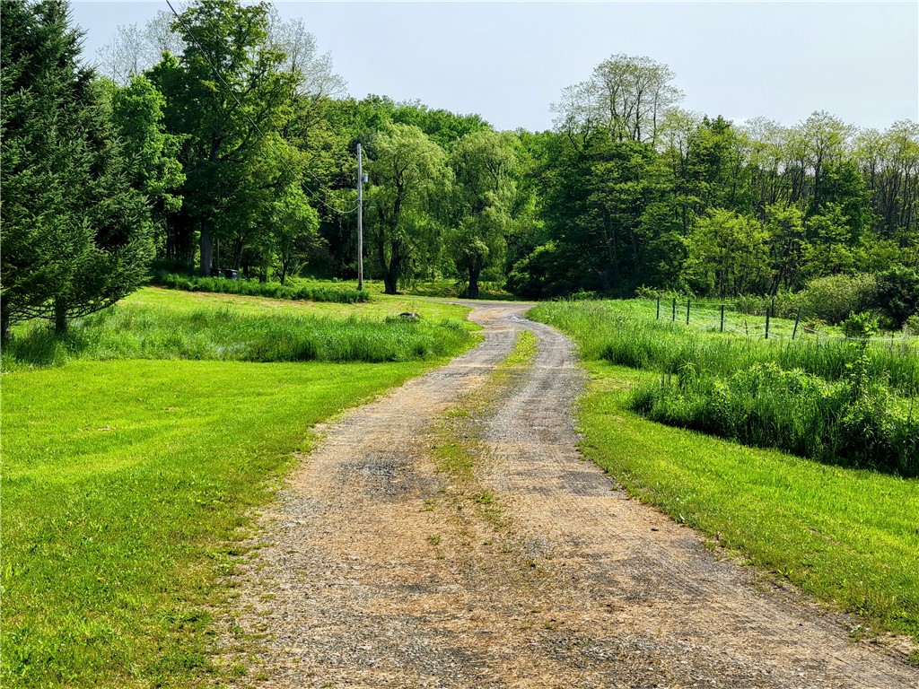 111 Harmouth Road, New Lisbon, New York image 7
