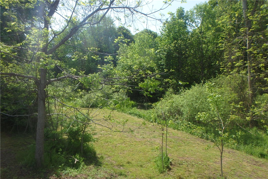 13626 Chapman Corners Road, Wolcott, New York image 19
