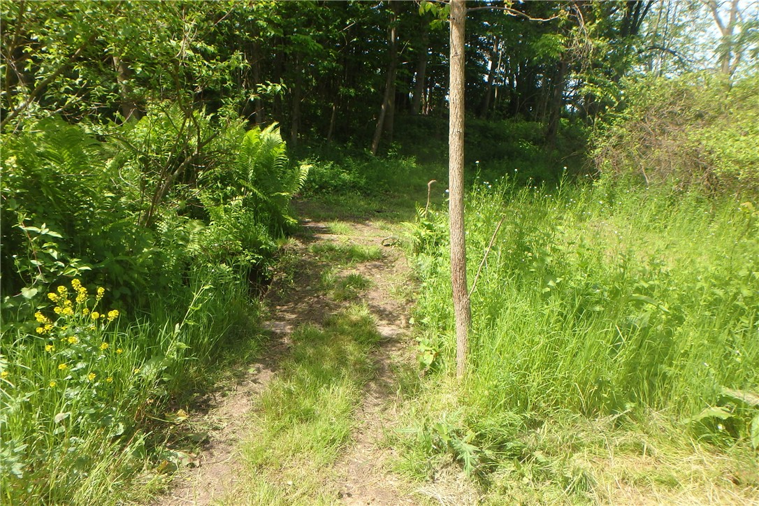 13626 Chapman Corners Road, Wolcott, New York image 20