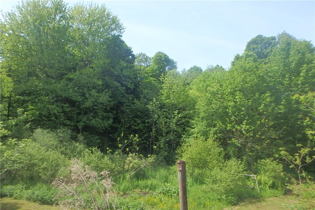 13626 Chapman Corners Road, Wolcott, New York image 6
