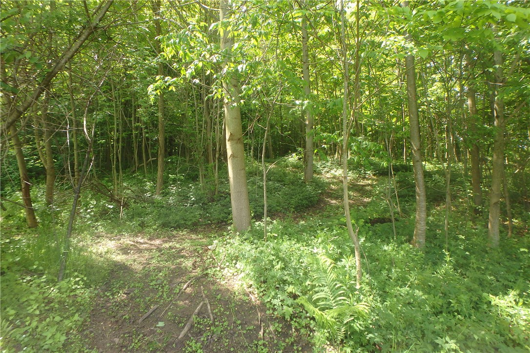 13626 Chapman Corners Road, Wolcott, New York image 21