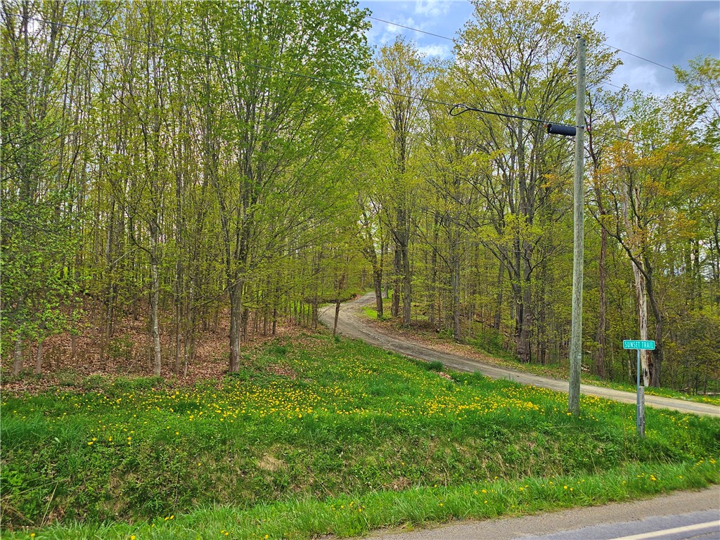 7574 Sunset Trail, Prattsburgh, New York image 48