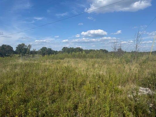 64 CONROY LN, FALMOUTH, KY 41040 - Image 199c8e587cfa274e1af30c73f4c691a6/3978062783