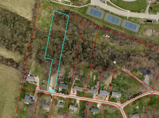 56 APPLE DR, INDEPENDENCE, KY 41051 - Image 1cc893fefd28409b35d43d1ef20b3c2e/77856025