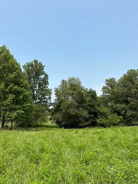 Photo for 0000 31.7031 AC ON BIG BONE CHURCH Road