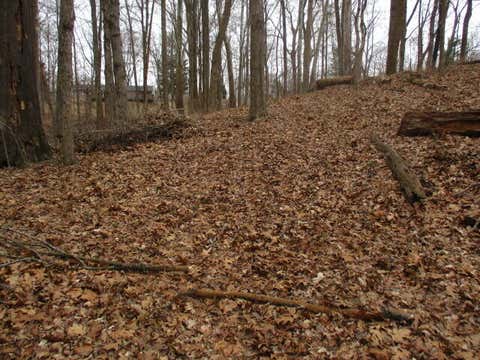 Photo for 1 Acre Johns Road