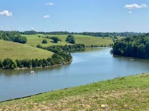 CONRAD LN, WILLIAMSTOWN, KY 41097 - Image 35c20da6701d1e2bb1df1eee66a08e83/3963328158