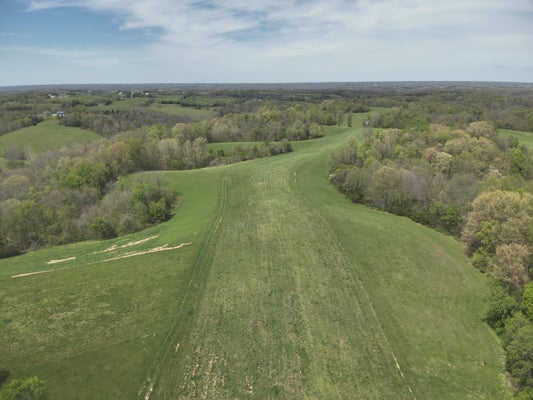 2451 SARDIS RD, MOUNT OLIVET, KY 41064 - Image 47b29eb05fe2fceff3bbc0a953a62a58/558758762