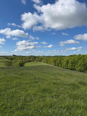 1410 MH CHIPMAN RIDGE RD, WILLIAMSTOWN, KY 41097 - Image 69a6b94922c2ebd680fe033737a7b4ff/3864969585