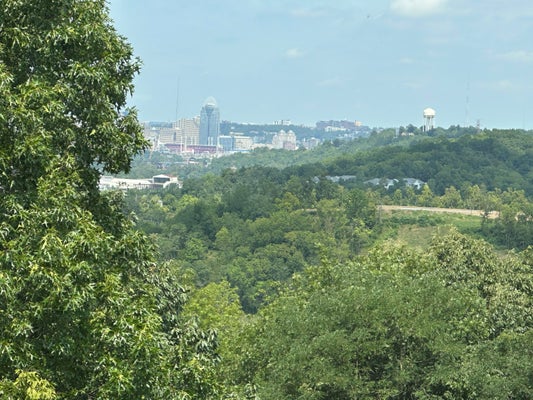 1 COLONEL POINTE DR, WILDER, KY 41076 - Image 6b41c7d2df6791d89d5592bd5876a7db/2177272233