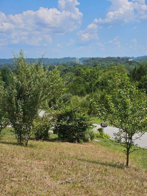 Photo for 6 Links View Drive
