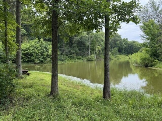 PEA RIDGE RD, AUGUSTA, KY 41002 - Image 75c14eee6db5bbc48982ed28c75e8bae/1514501767