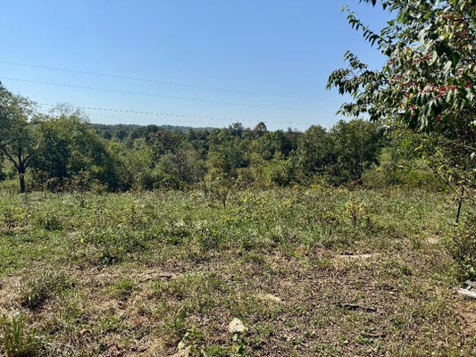 16 RAVENSCRAFT RD, FALMOUTH, KY 41040 - Image 90bf92e4f53d6e6c8d1589b3078605c2/879684946