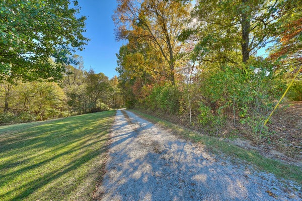 1630 VERONA MOUNT ZION RD, DRY RIDGE, KY 41035 - Image 98ea3aa11ccfa8214d7f07e92d791c24/353348859