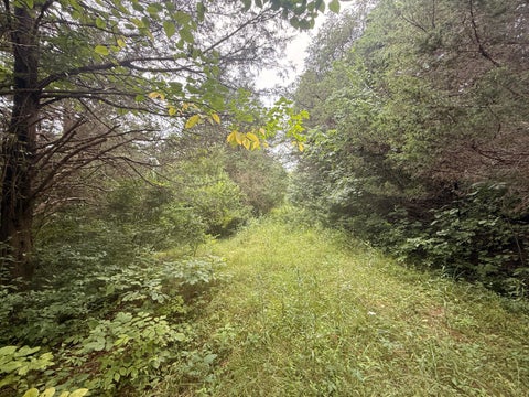 Photo for 815 Waterworks Road