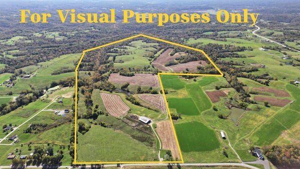 3575 GREENUP RD, OWENTON, KY 40359 - Image aa6ef594d02e40c7d803e986e3fa7a9d/2740946364