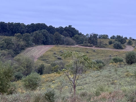 Photo for 2606 W Ky Highway 330