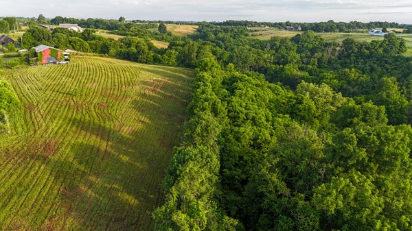 844 HICKEY RD, SHARPSBURG, KY 40374 - Image b9bf53786cbb4e96d34f8143d410f574/3410935429