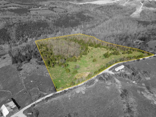 40 RAVENSCRAFT RD, FALMOUTH, KY 41040 - Image b9ce5d12d74718592c29fec9d4e788ff/1658533478