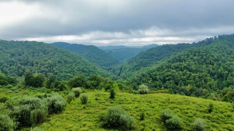 Photo of 9074 Middle Fork Wolf Creek Road, Pilgrim, KY 41250 (MLS # 647252)