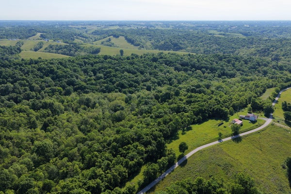 CROCKETT LN, MOUNT OLIVET, KY 41064 - Image c99068d34eaa9b4aa2cda9a84cb9e93b/2930543082