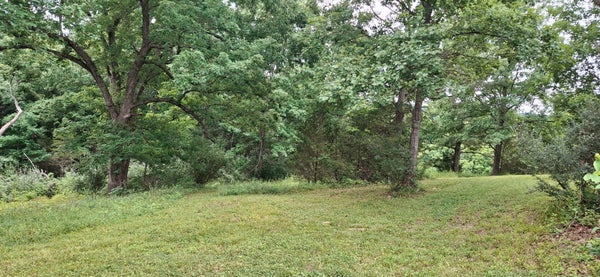 CORDOVA RD 2, BERRY, KY 41003 - Image d2486fc9e4aeef570097f215630cc55b/1134595797