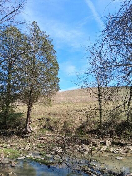 Photo for 105 Scaffold Lick Creek Road