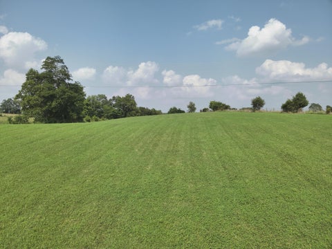 Photo for 8234 Orangeburg Road