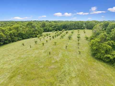 Photo for 0 Lockmier 57+/- Acres Road