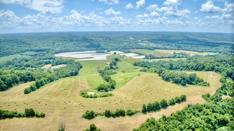 Photo for 3386 KY-467