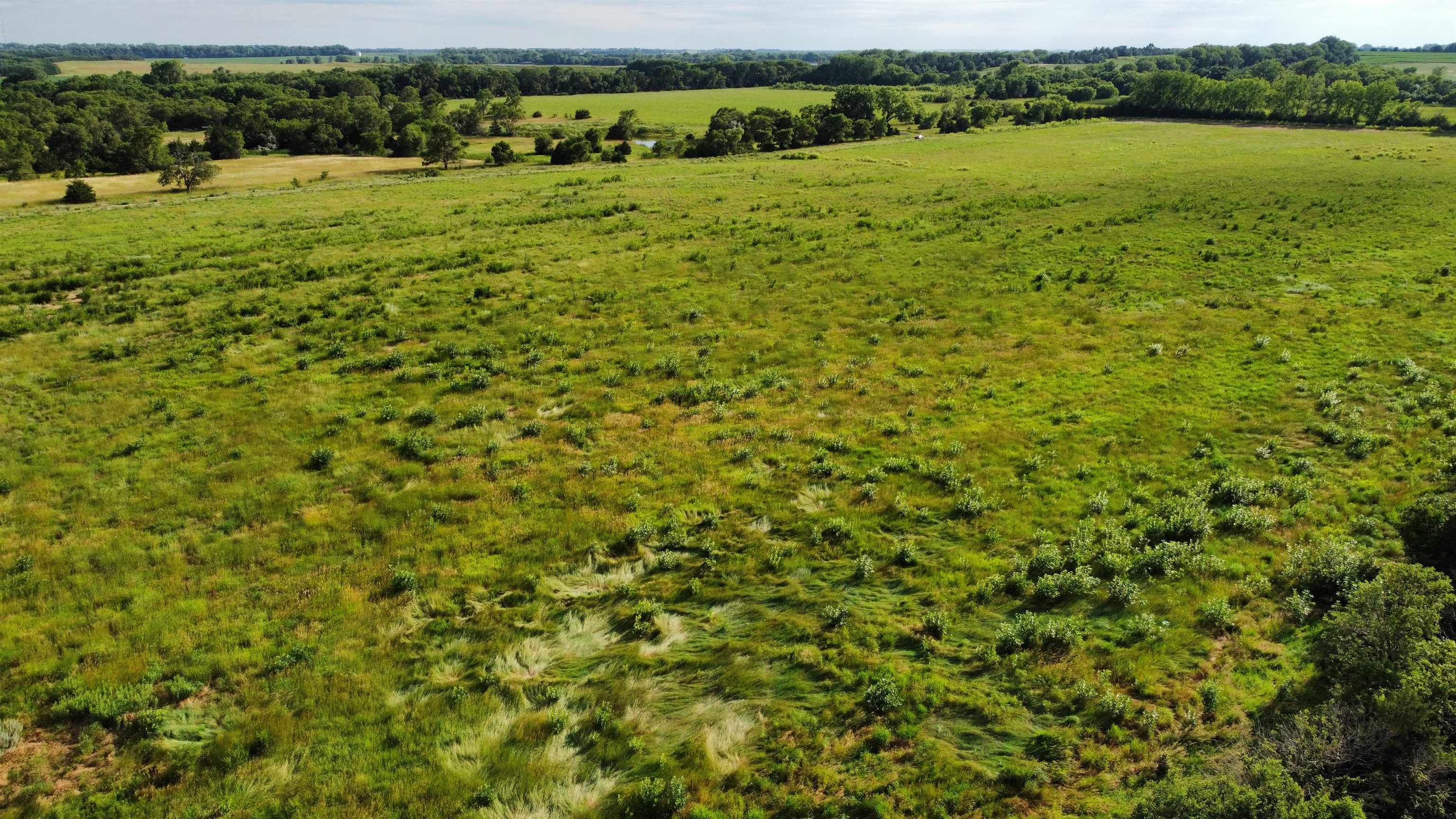 Pierce, Nebraska 68767, United States, ,Residential,Active,53286