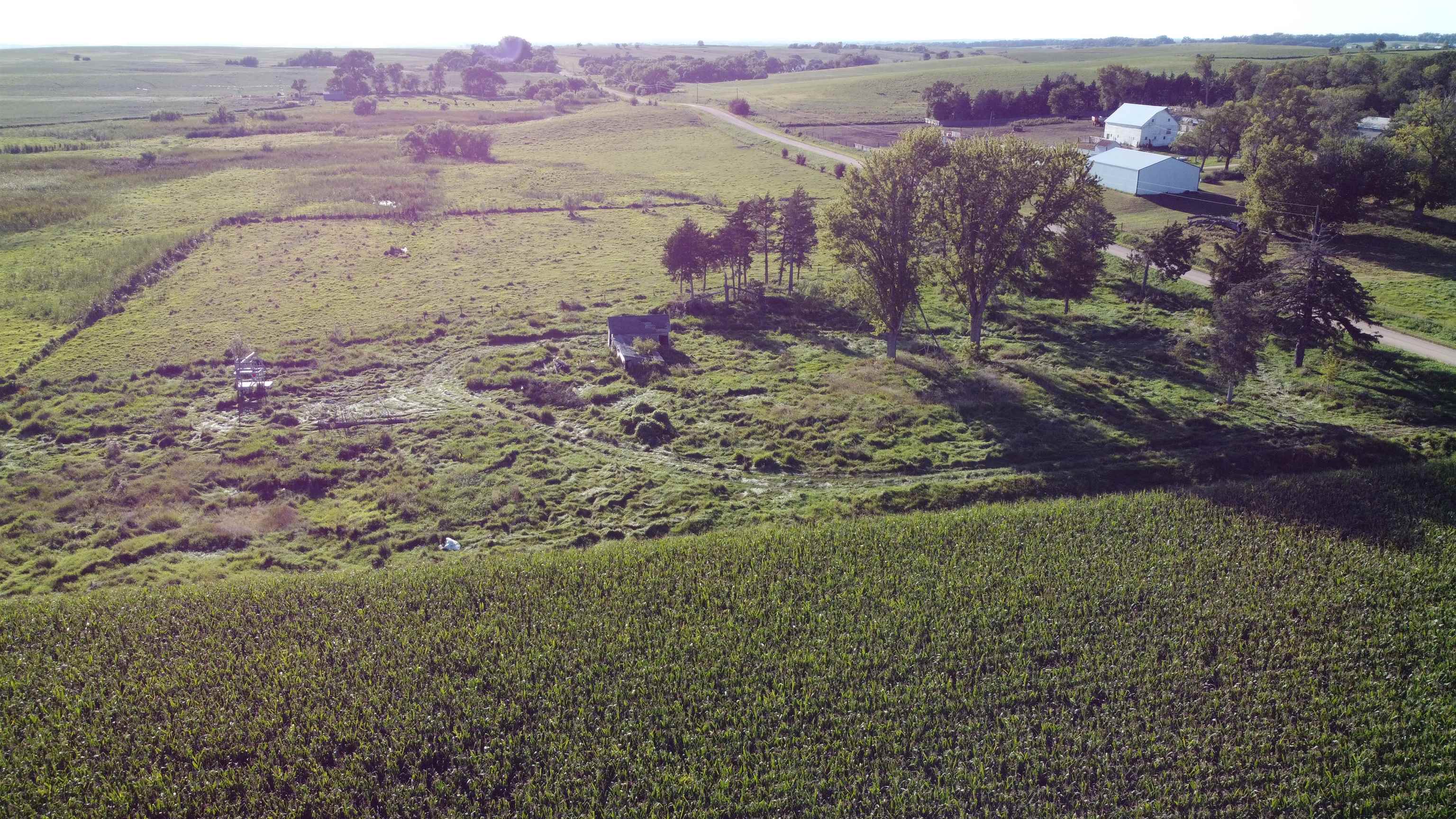 Pierce, Nebraska 68767, United States, ,Land,Active,204754