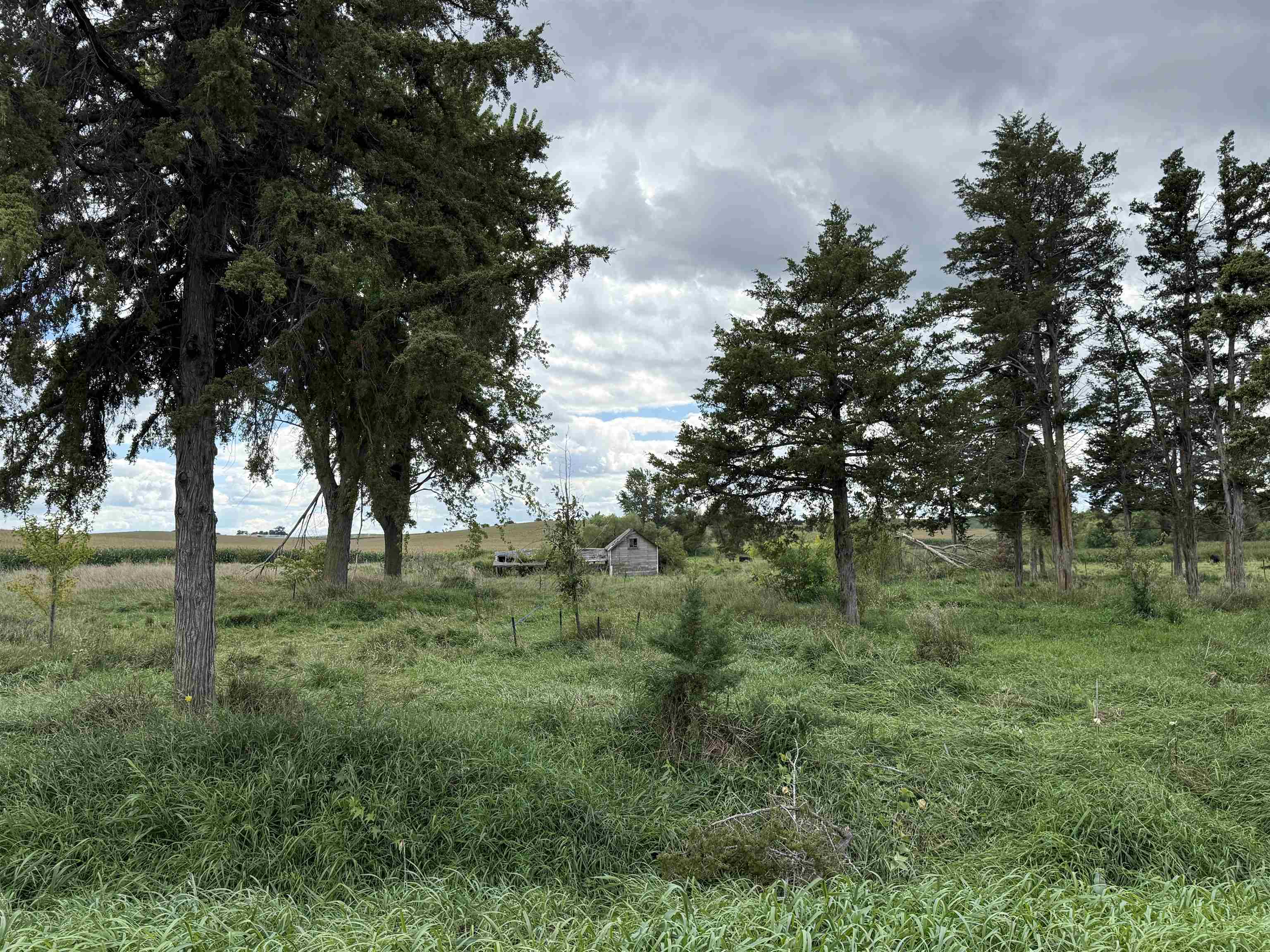 Pierce, Nebraska 68767, United States, ,Land,Active,204754