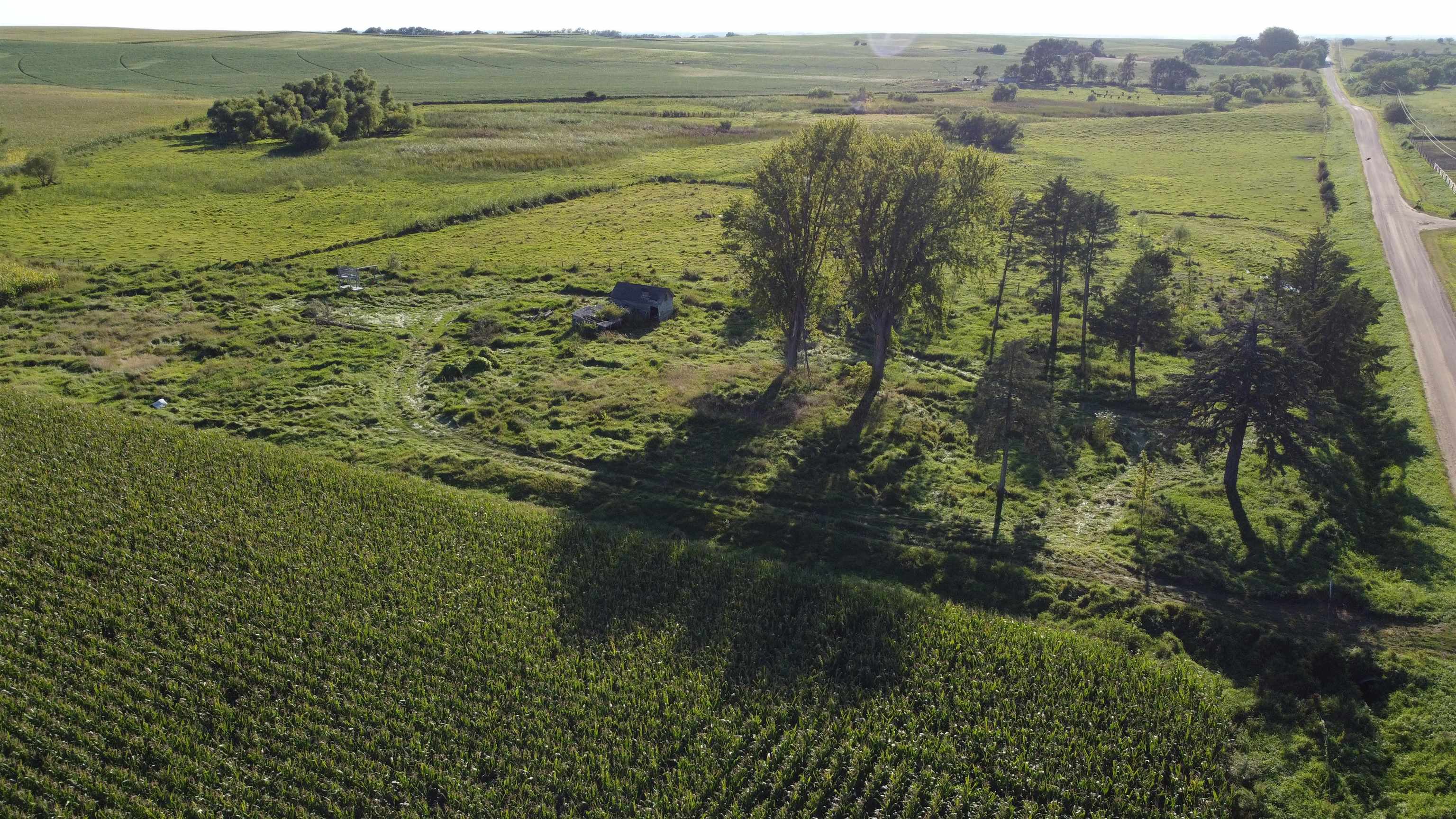 Pierce, Nebraska 68767, United States, ,Land,Active,204754