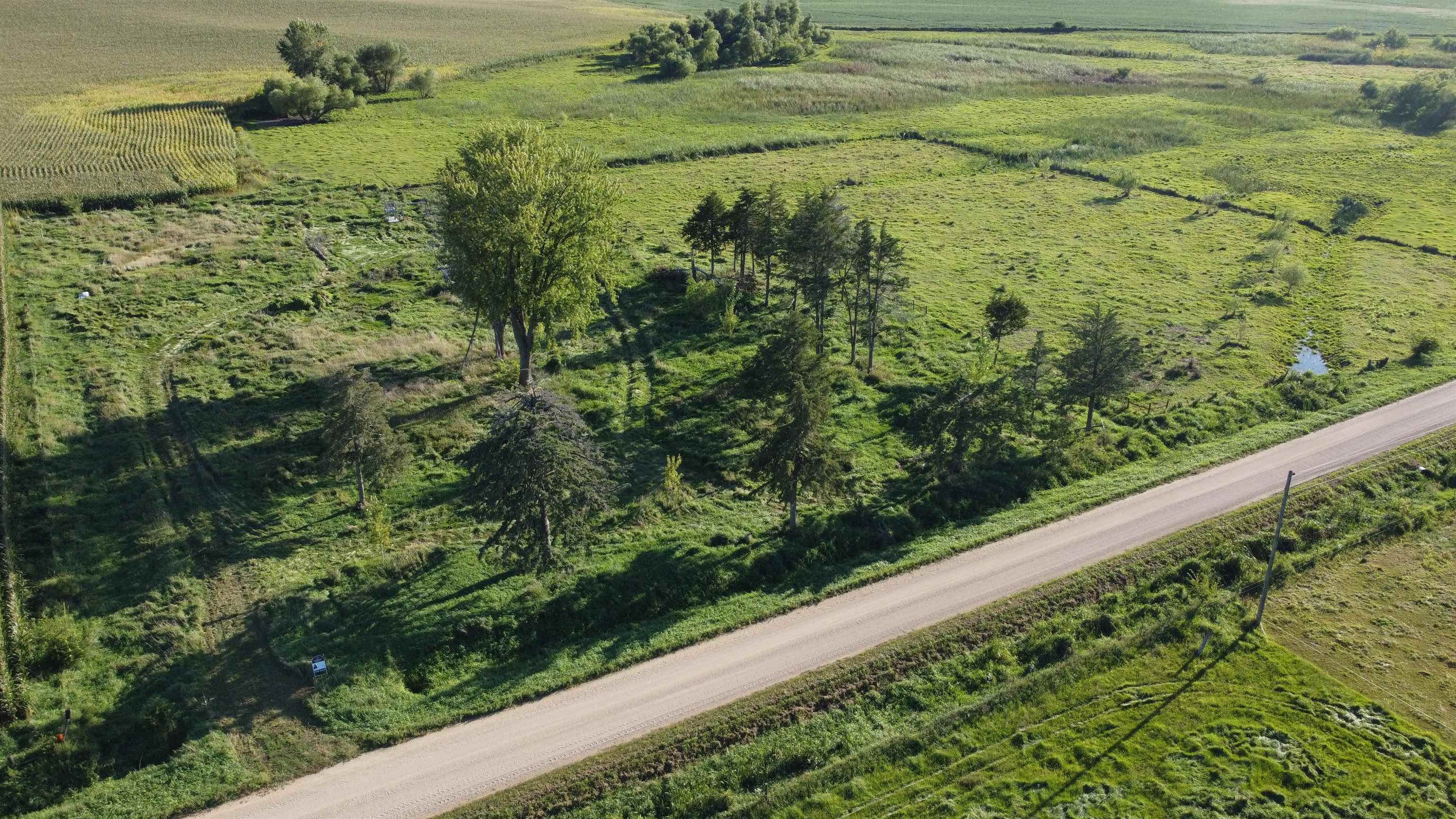 Pierce, Nebraska 68767, United States, ,Land,Active,204754